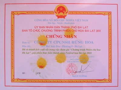 Giấy chứng nhận thành tích xuất sắc trong 