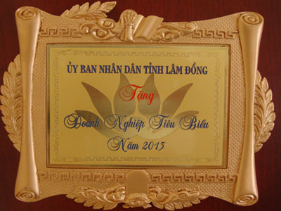 Tặng phẩm Doanh nghiệp tiêu biểu năm 2013 từ Ủy ban Nhân dân tỉnh Lâm Đồng năm 2013.