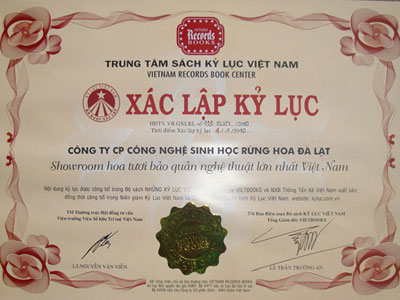 Giấy xác lập kỉ lục 