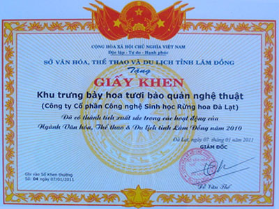 Giấy khen 