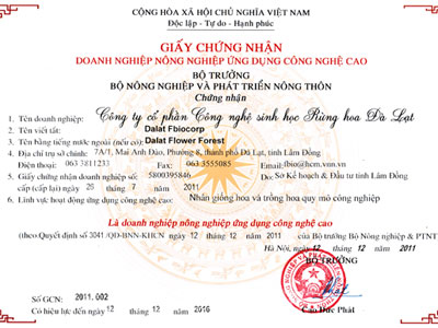 Giấy chứng nhận 