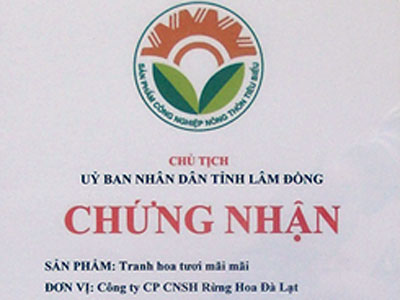 Giấy chứng nhận 