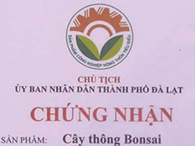 Giấy chứng nhận sản phẩm 