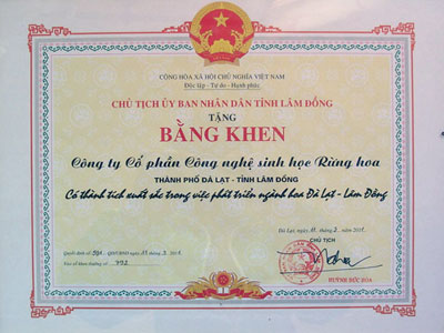 Bằng khen CT CP CNSH Rừng Hoa Đà Lạt có nhiều thành tích trong việc phát triển ngành hoa Đà Lạt