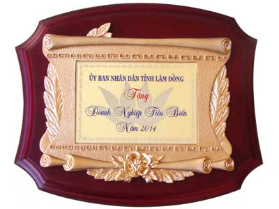 Tặng phẩm doanh nghiệp tiêu biểu năm 2014.