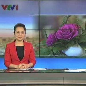 Gõ Cửa Ngày Mới VTV1